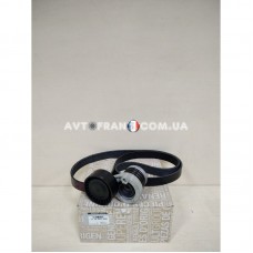 117202506R Комплект навісного обладнання 1.5 DCI K9K Renault Оригінал