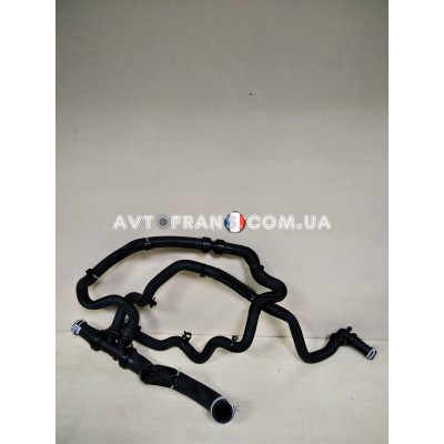 215016700R Патрубок системи охолодження нижній 1.0 12V B4D Renault Оригінал