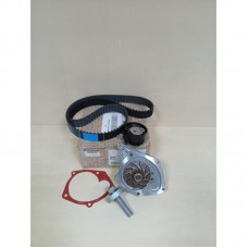 119A08272R Комплект ГРМ з помпою 1.5 DCI Renault Оригінал